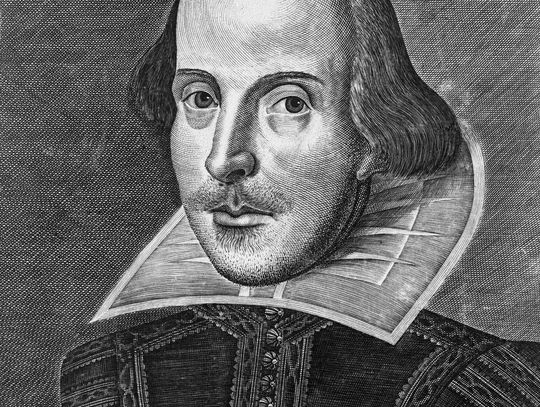 Young Shakes Brings Live Shakespeare to Fallon
