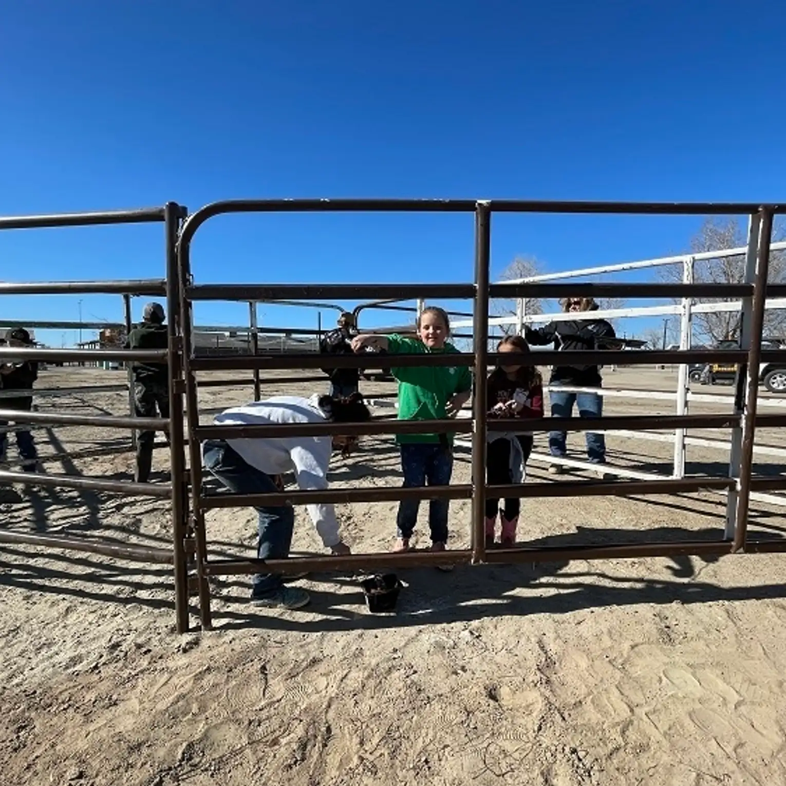 Training Livestock to Electric Fences - Cooperative Extension: Livestock -  University of Maine Cooperative Extension