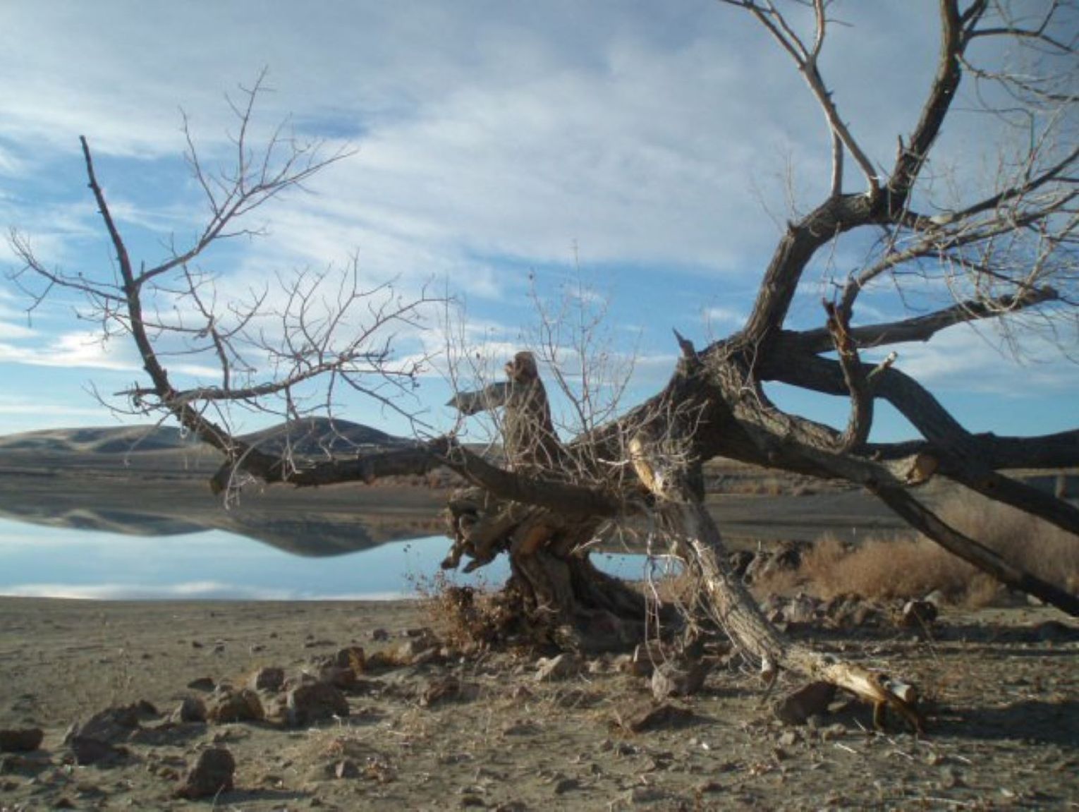 25 Million Water Initiative to Retire Groundwater Rights