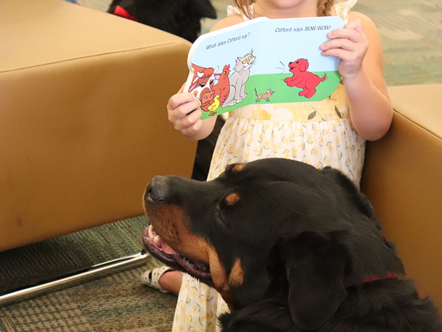 August Library Events and Happenings