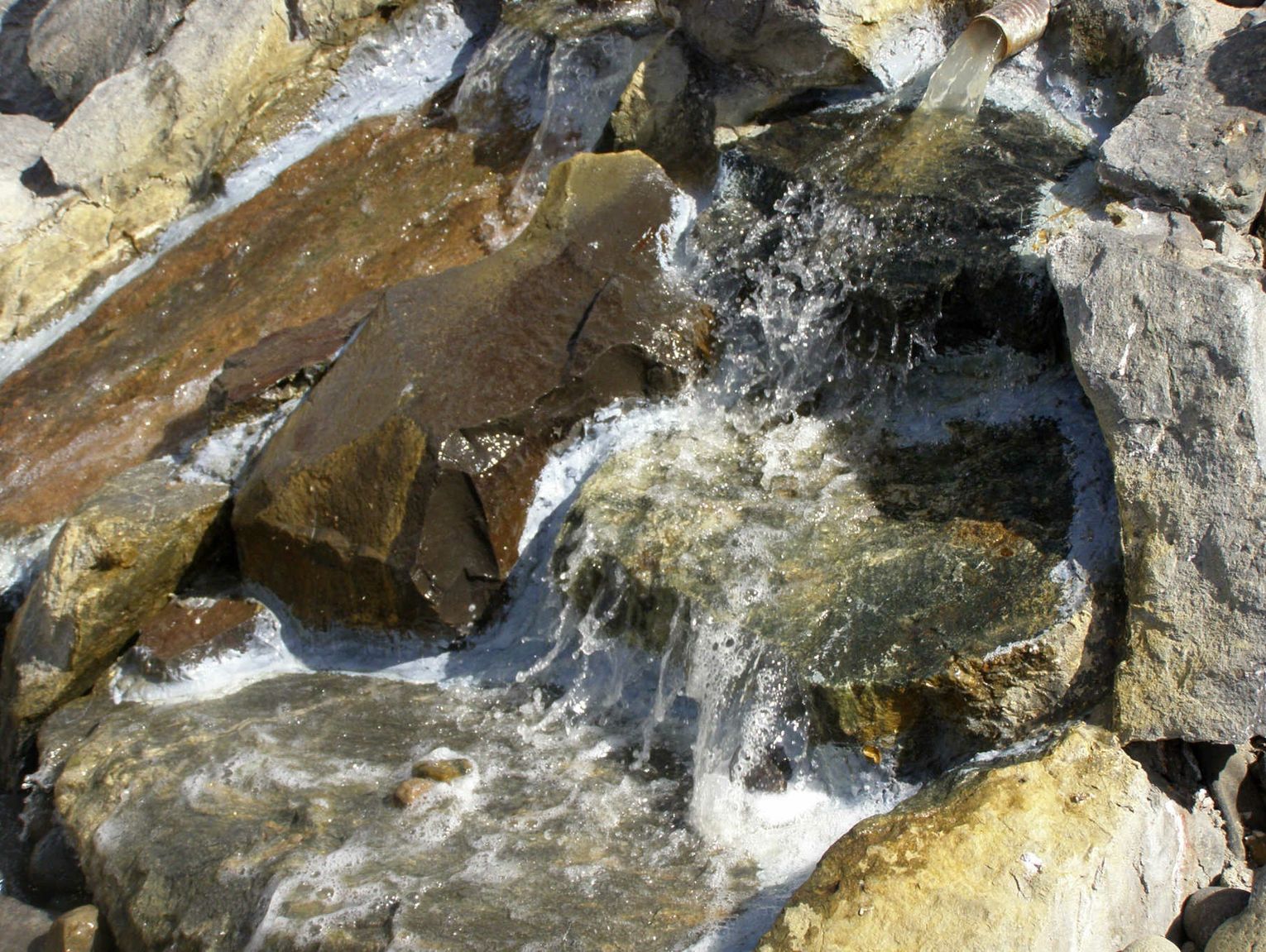 Edith on Water Features as Mosquito Control