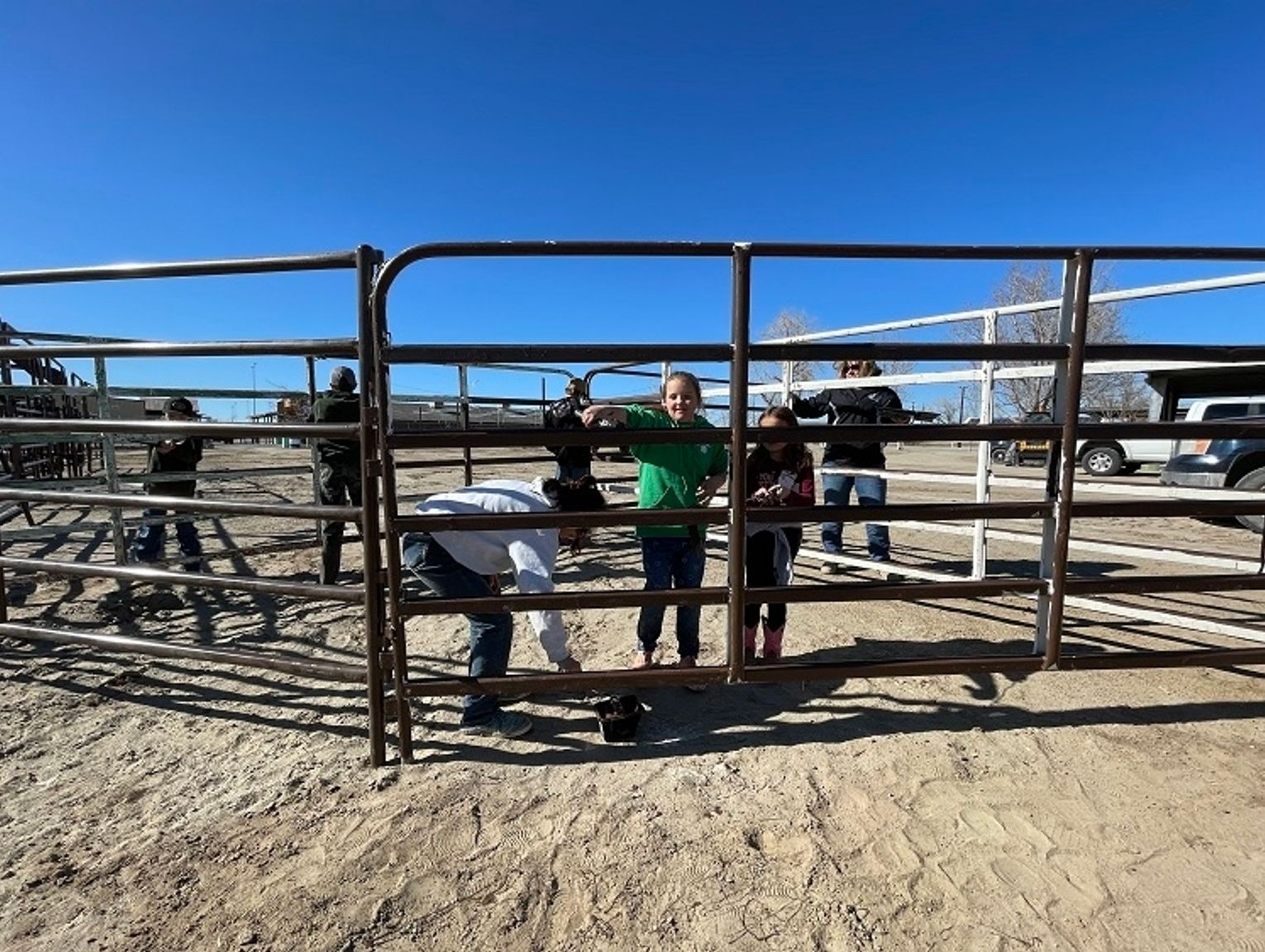 Farm to Fork Certification Program provides information on livestock