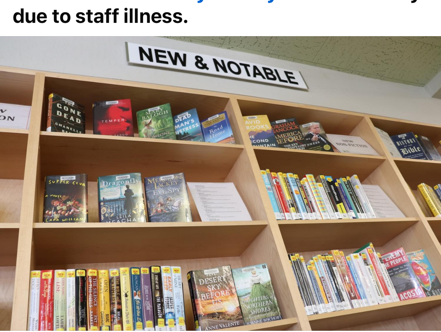 Library Woes Continue