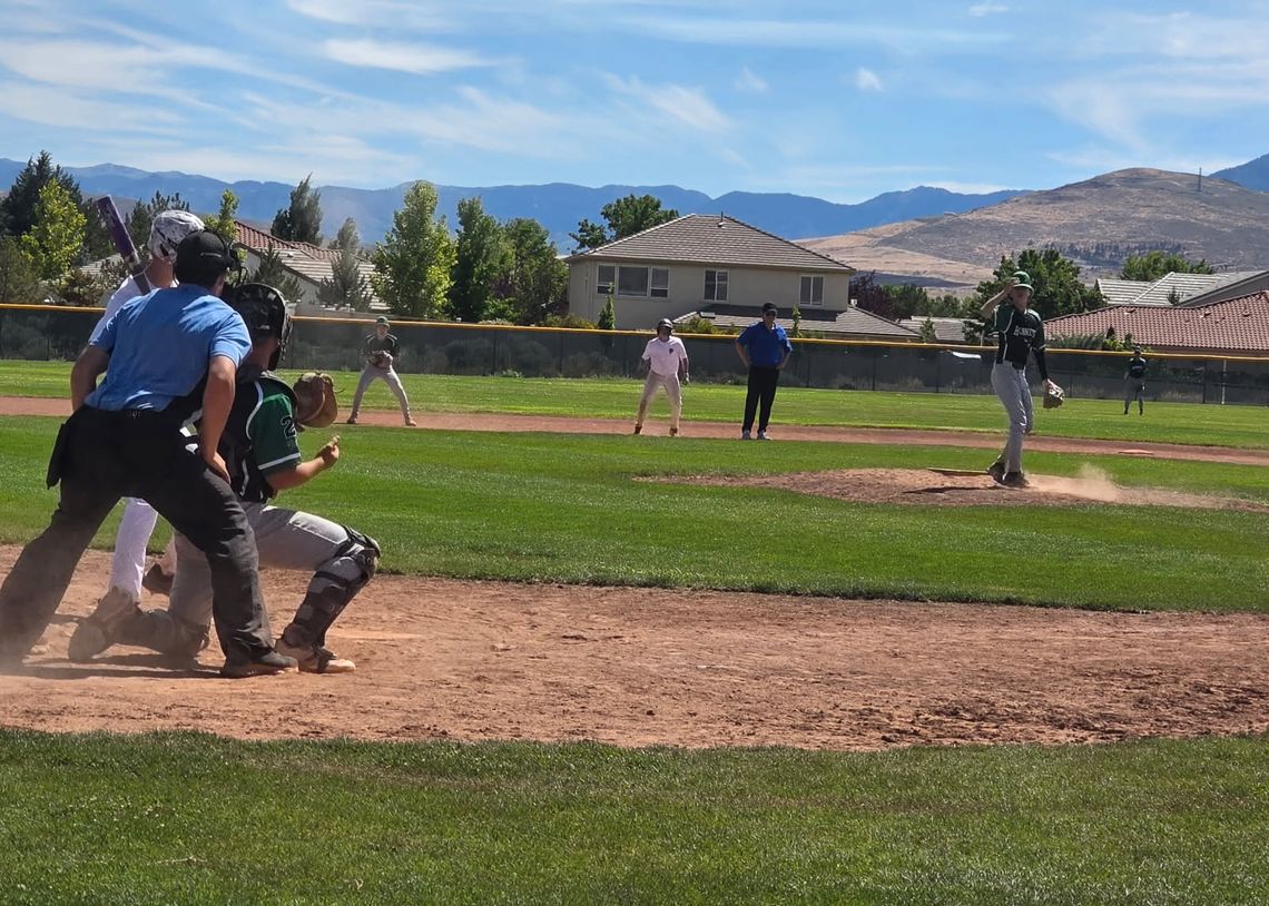 15U Hornets