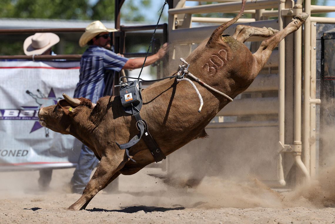 Bulls Rule the Day at  Rafter 3-C Fallon Finale