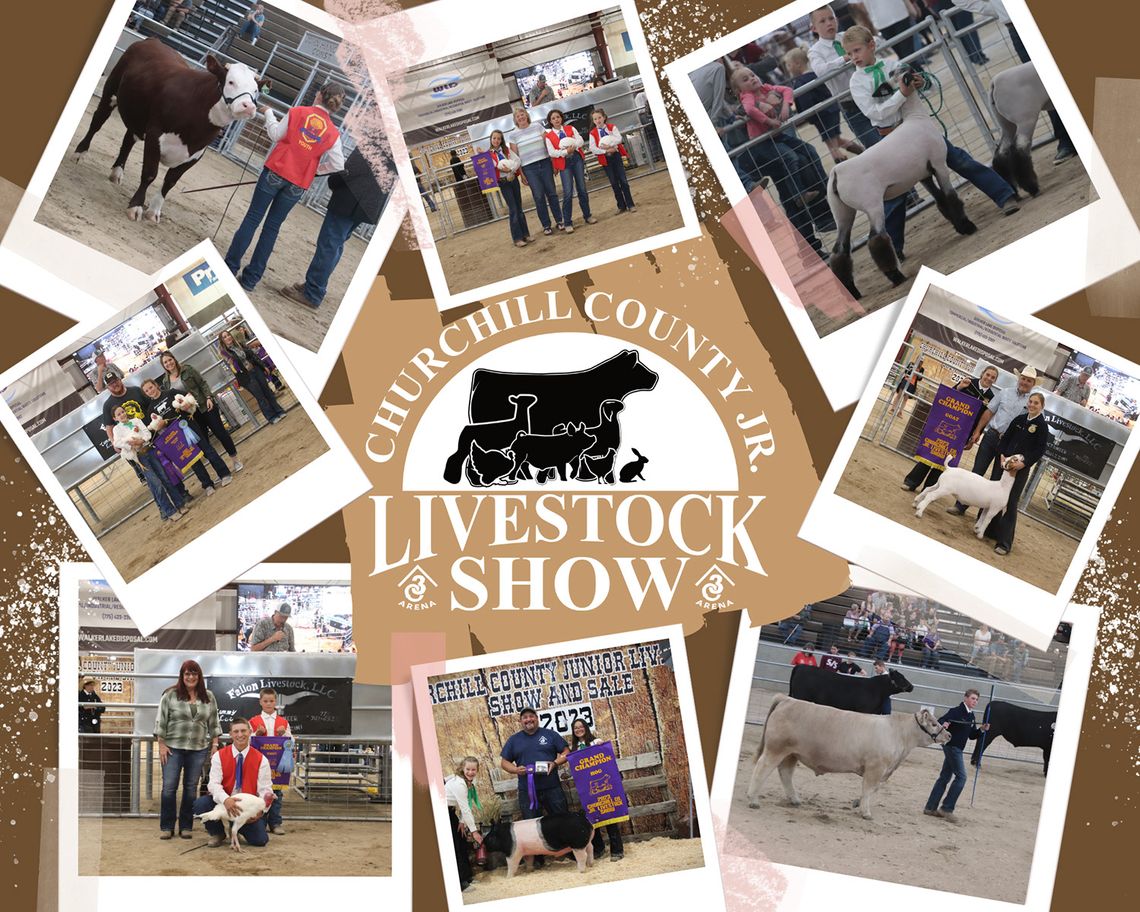 85th Annual Jr. Livestock Show & Sale This Weekend