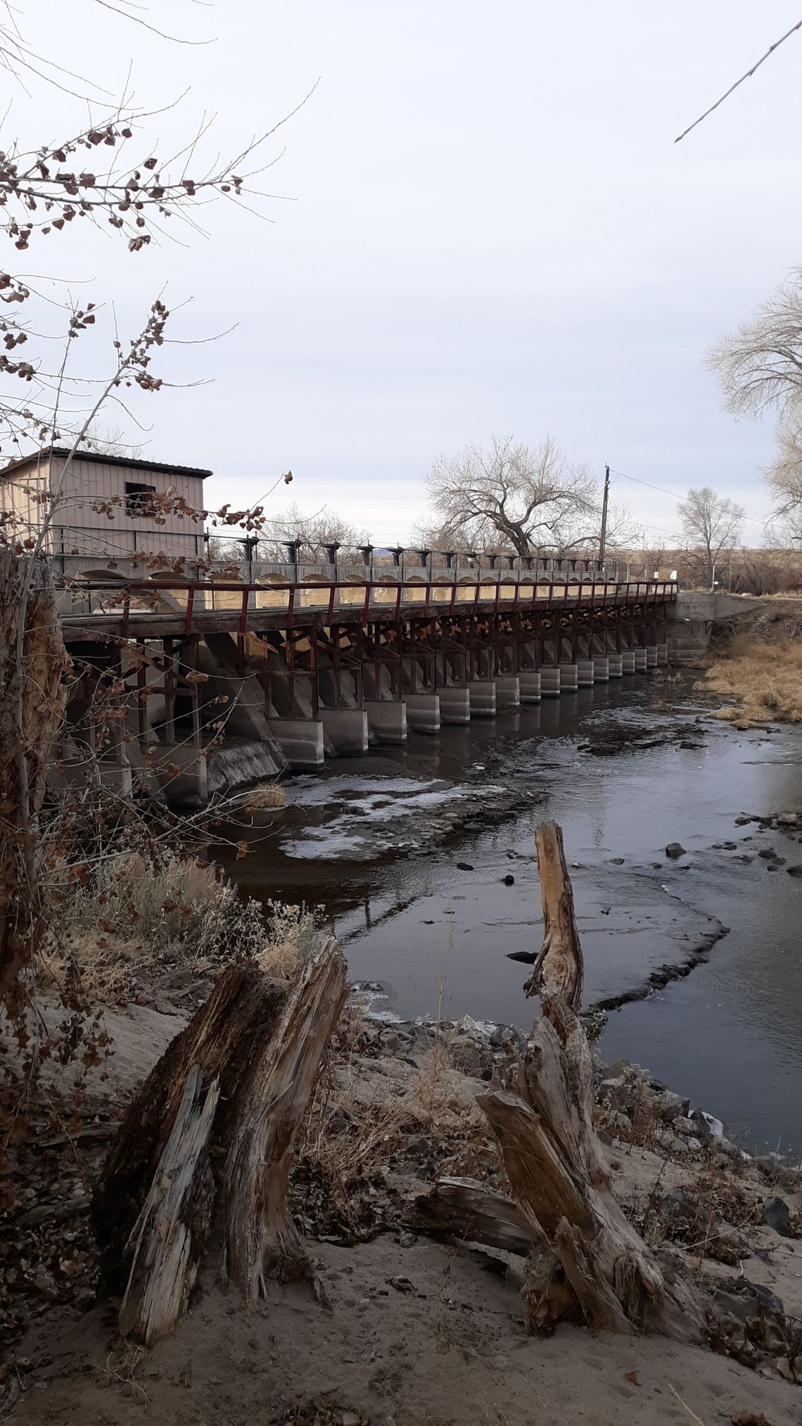 A New Dam Beginning