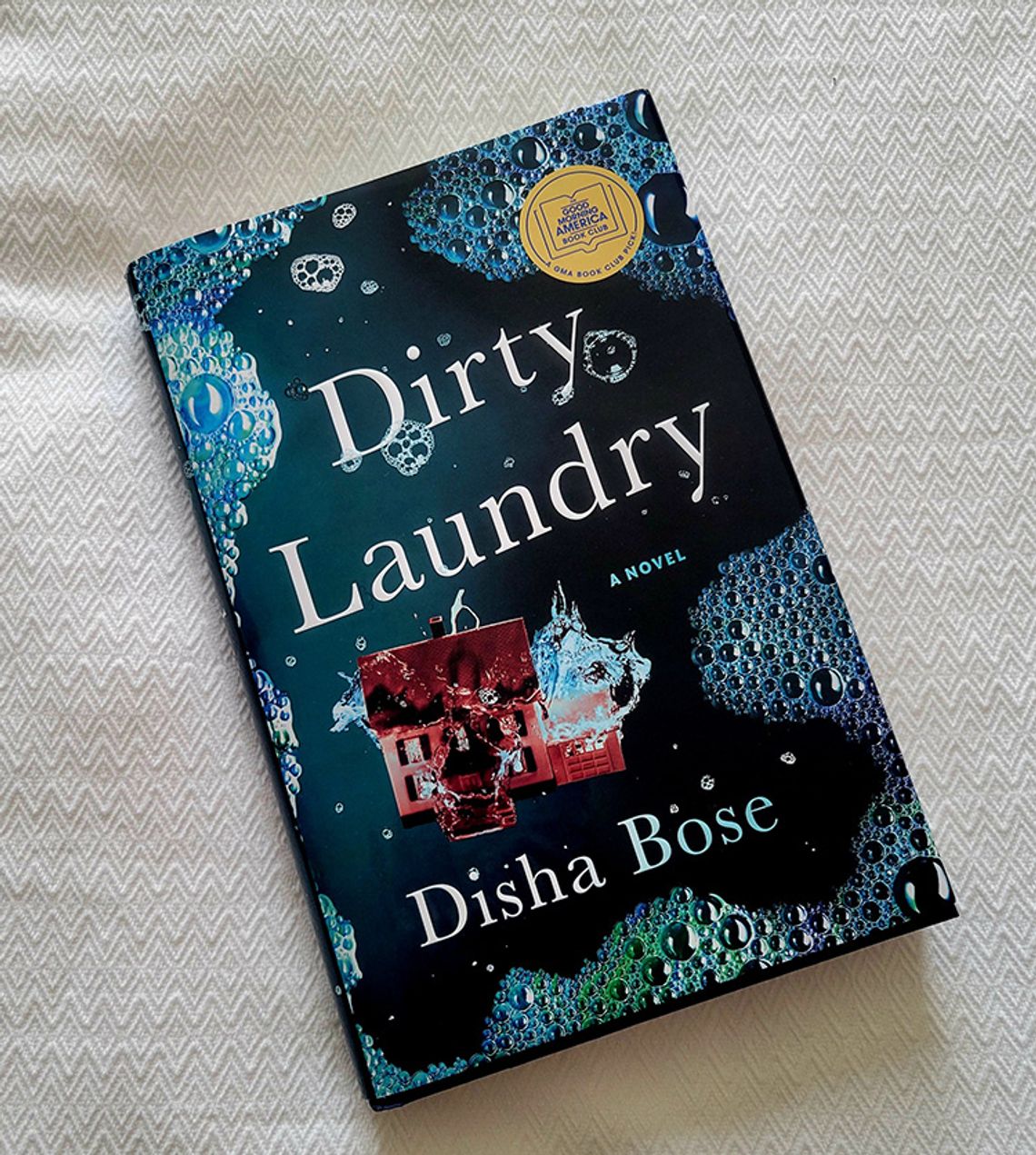 Allison’s Book Report — "Dirty Laundry" by Disha Bose