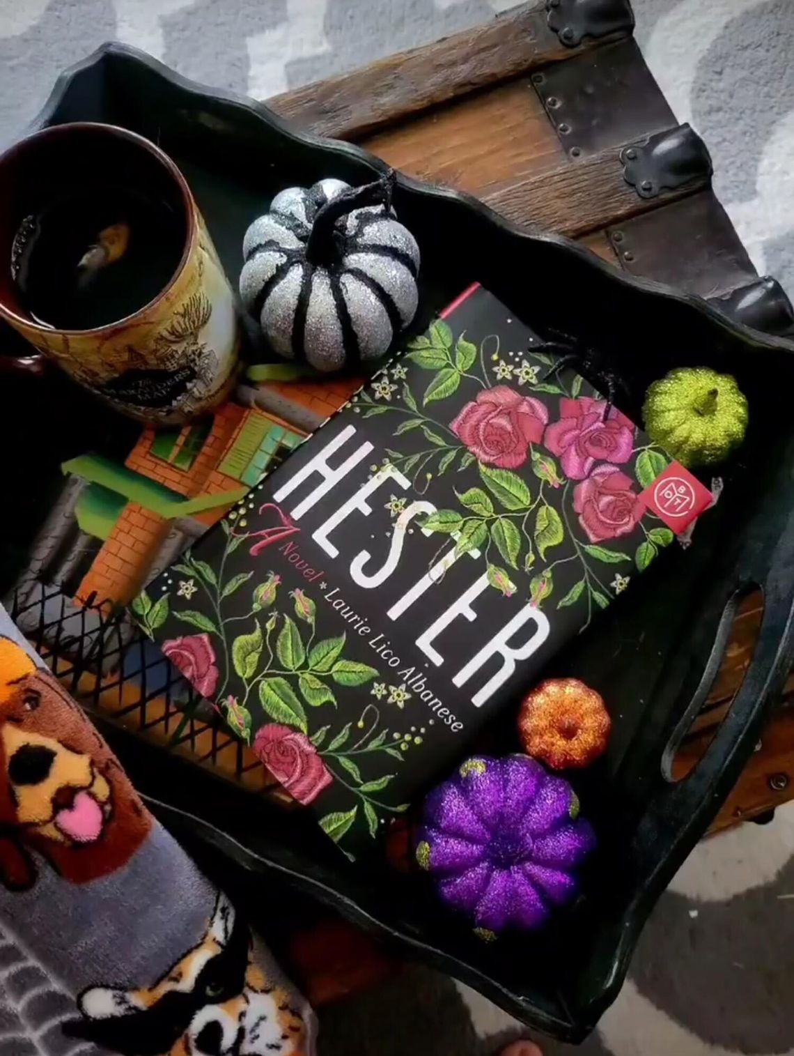 Allison’s Book Report – “Hester” by Laurie Lico Albanese