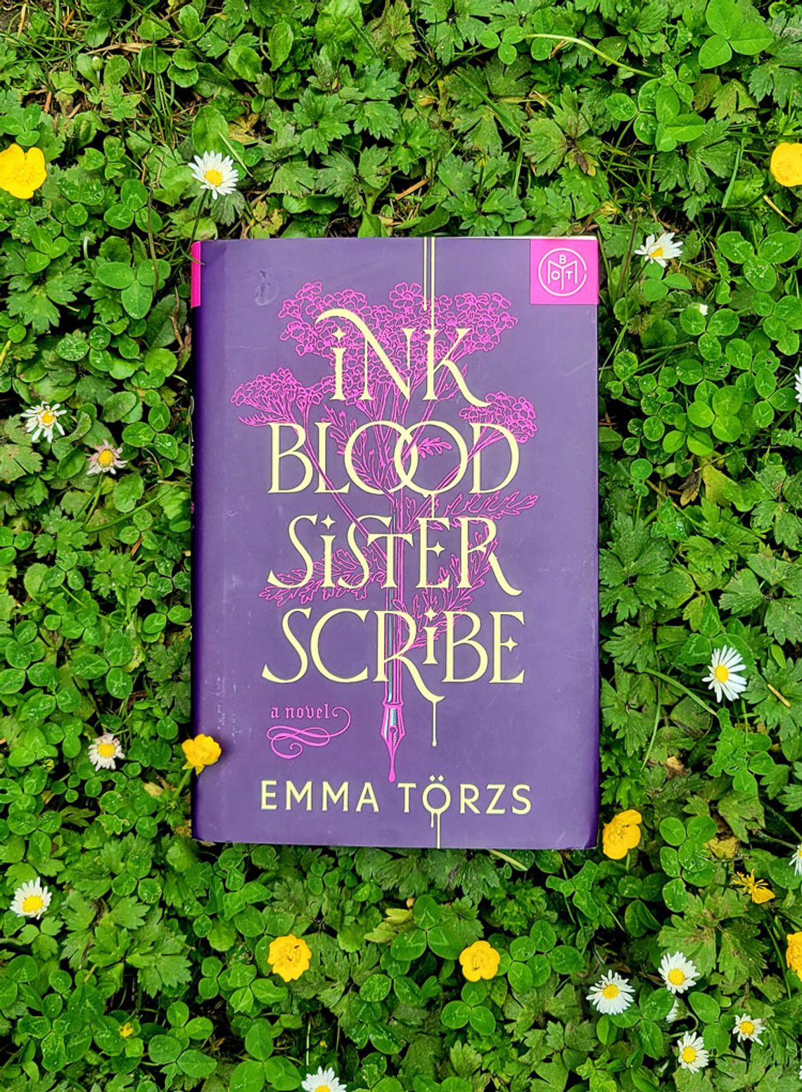 Allison's Book Report — Ink Blood Sister Scribe by Emma Törzs