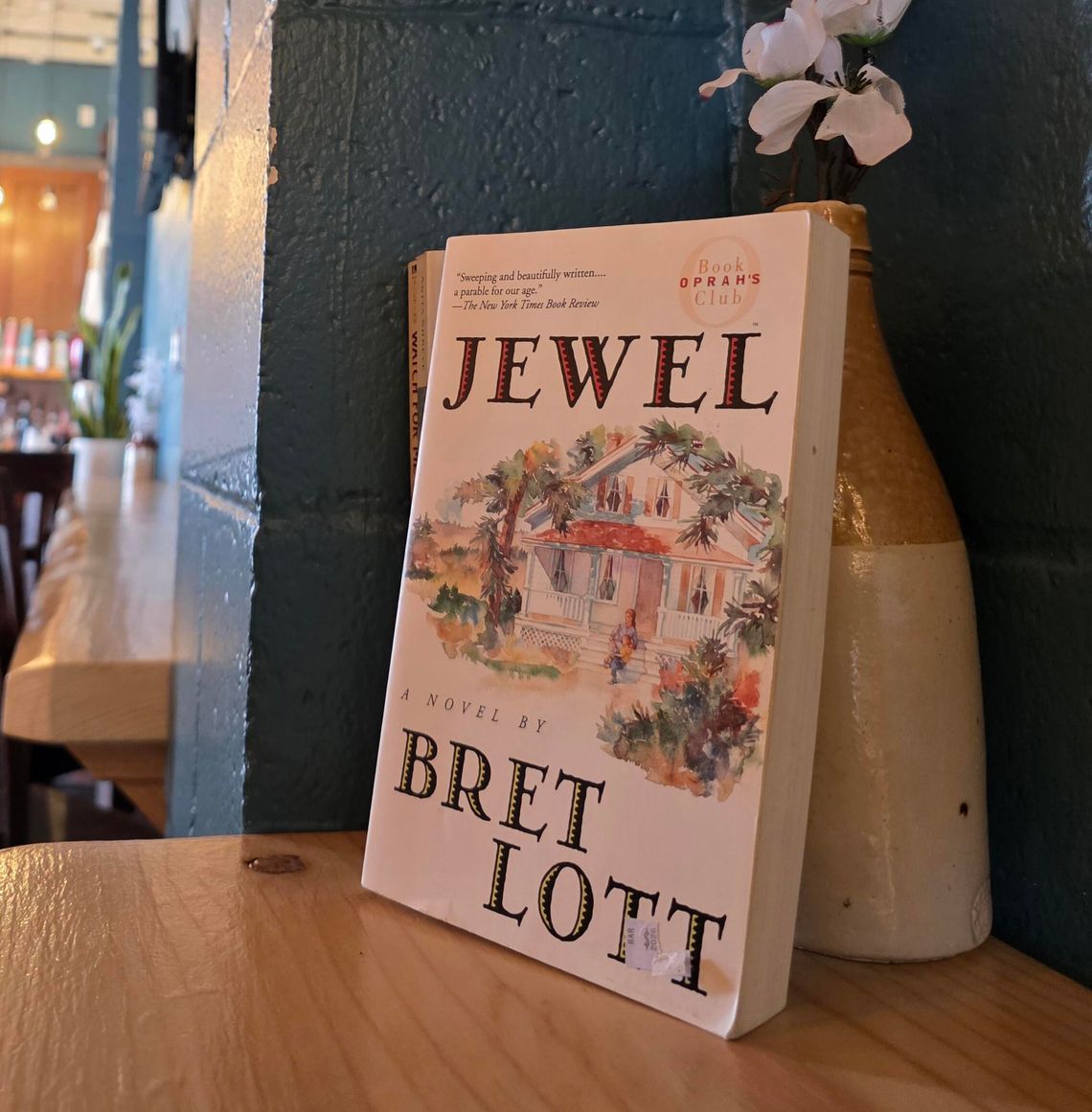 Allison’s Book Report: “Jewel” by Brett Lott