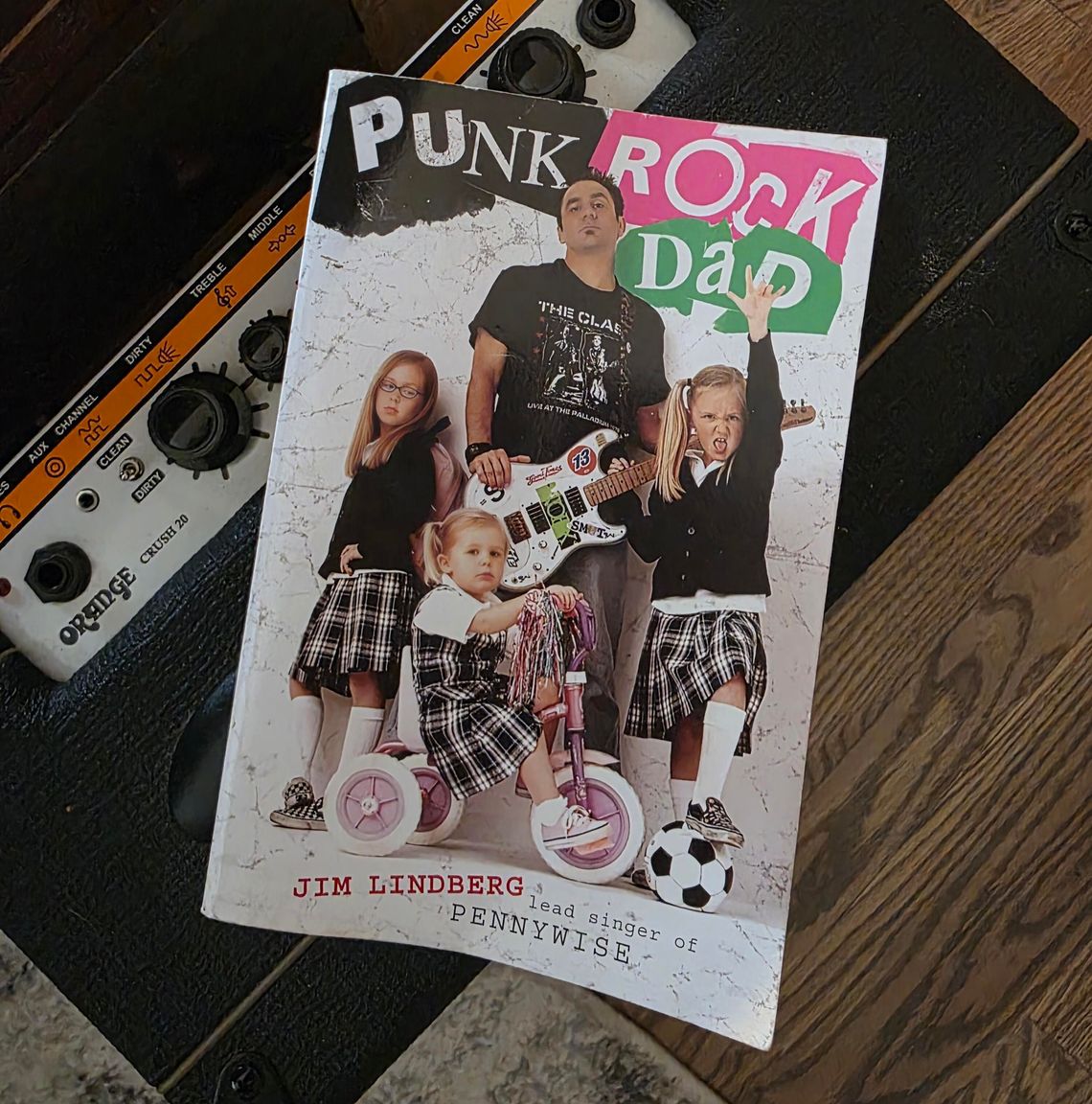 Allison's Book Report -“Punk Rock Dad: No Rules, Just Real Life” by Jim Lindberg Allison's Book Report -“Punk Rock Dad: No Rules, Just Real Life” by Jim Lindberg