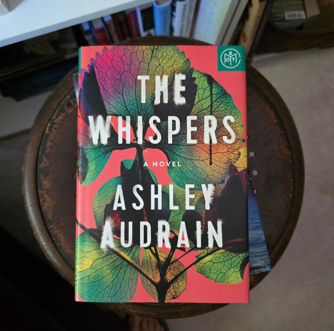 Allison’s Book Report  “The Whispers” by Ashley Audrain