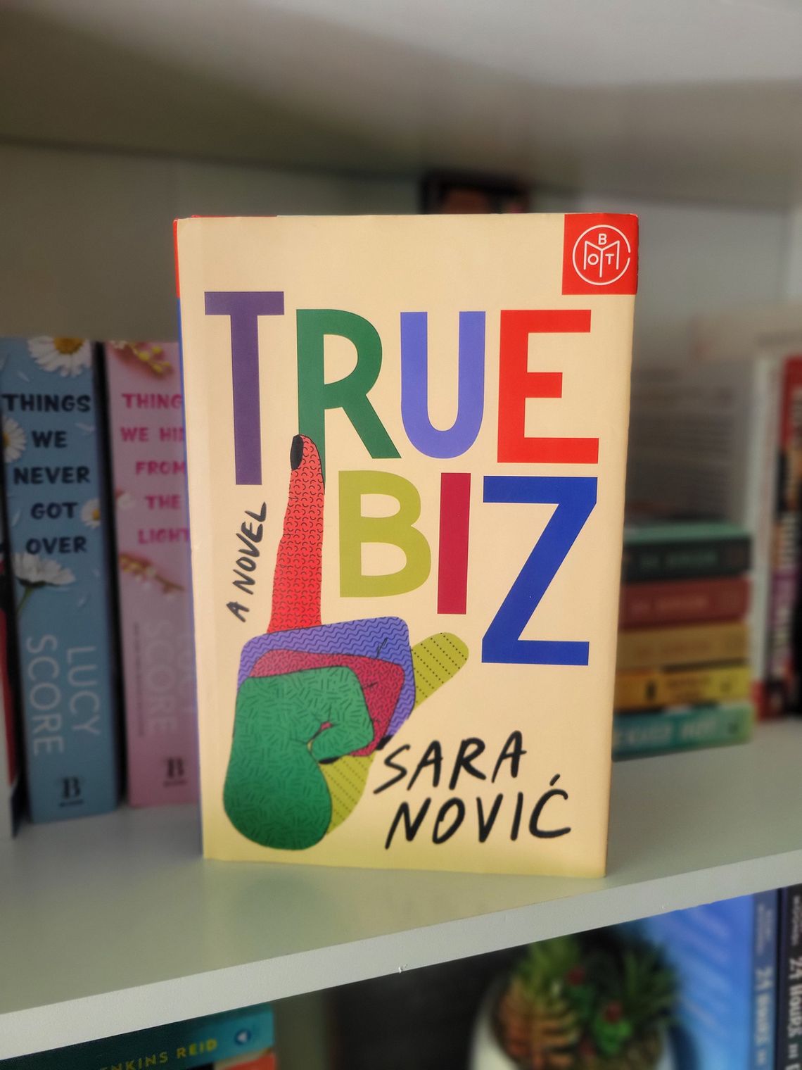 Allison’s Book Report - “True Biz” by Sara Nović