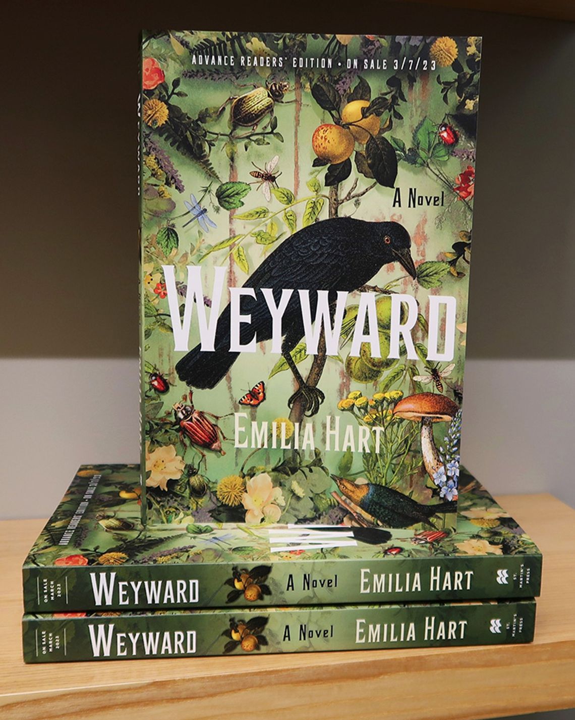 Allison’s Book Report — “Weyward” written by Emilia Hart