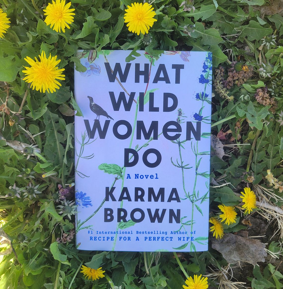 Allison’s Book Report - “What Wild Women Do” by Karma Brown