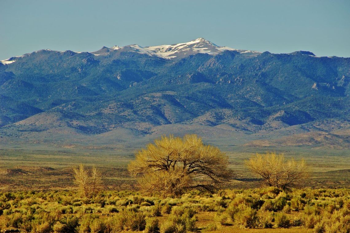 Annual Cattlemen’s Update Looks Ahead to 2026