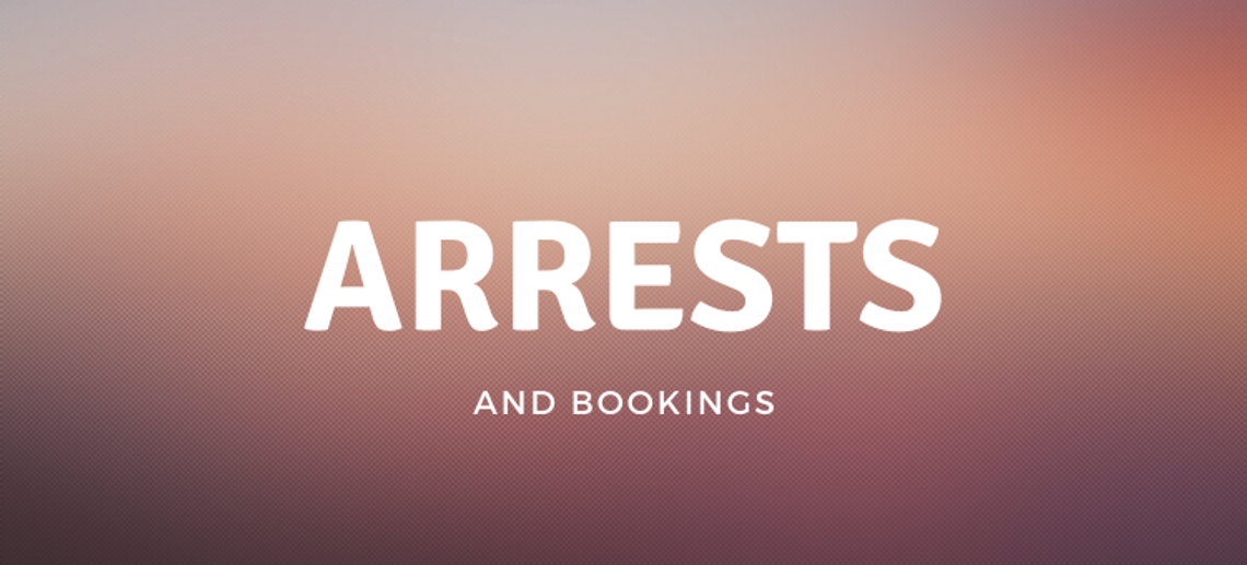 Arrests and Bookings December 27 through Jan 2