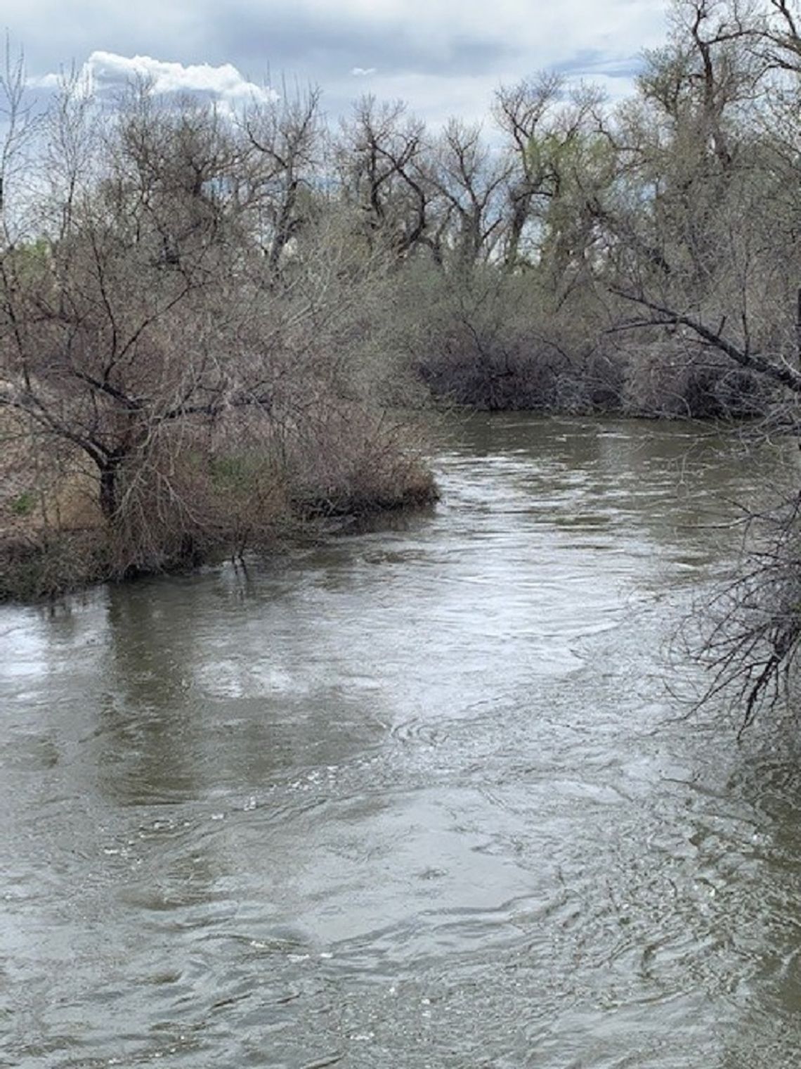 Ask the Owl – The Carson River
