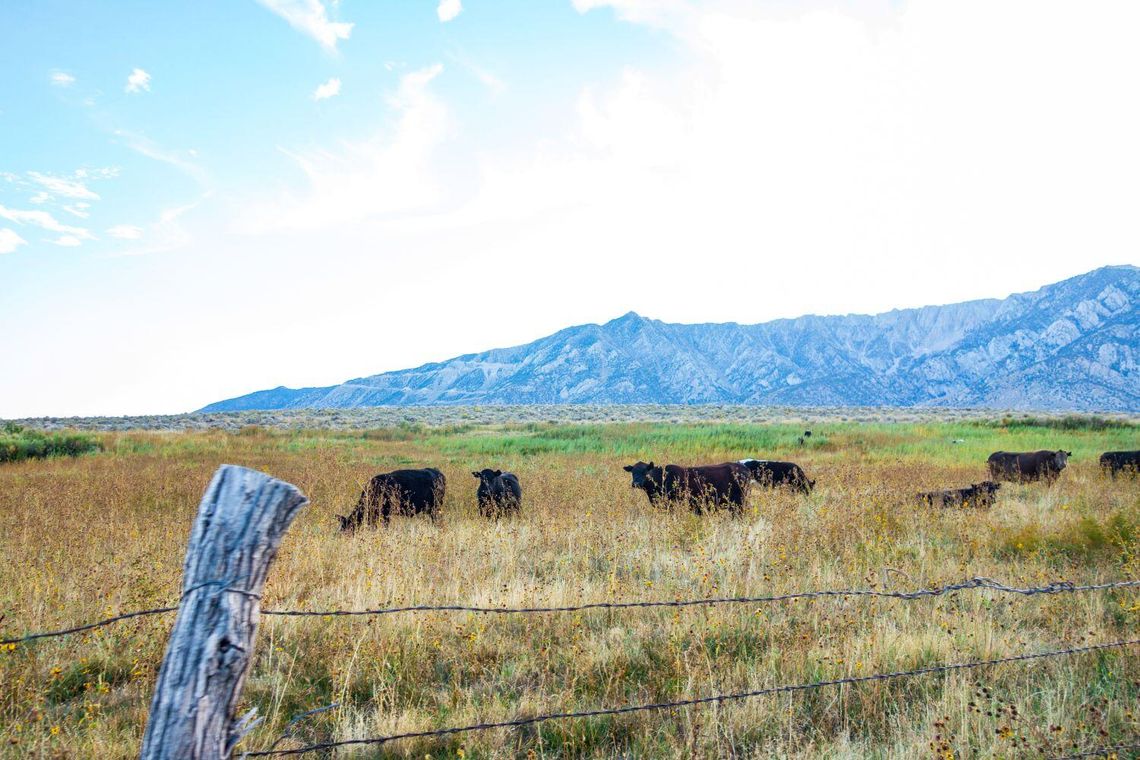 Beginning Farmer Program Begins this Week