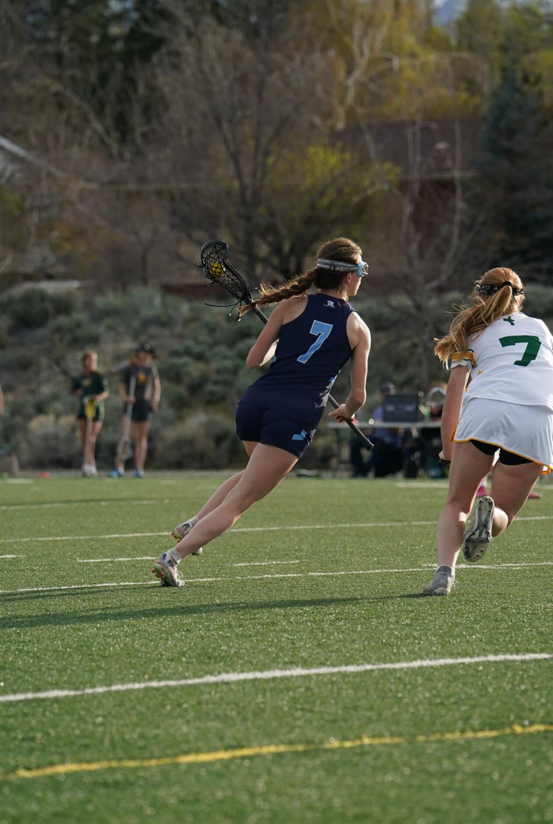 Bighorn Bulletin