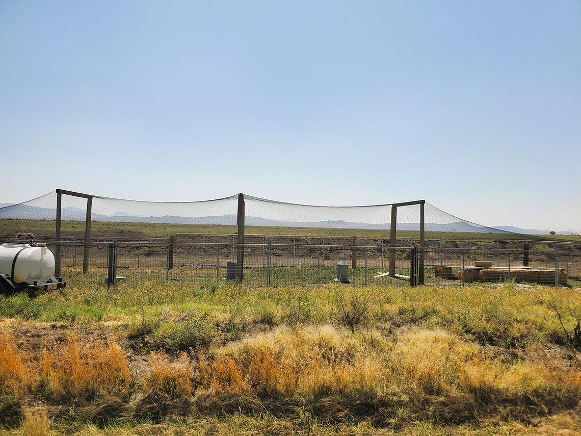 Bird Dog Club Debuts New Grounds with Fall Championship