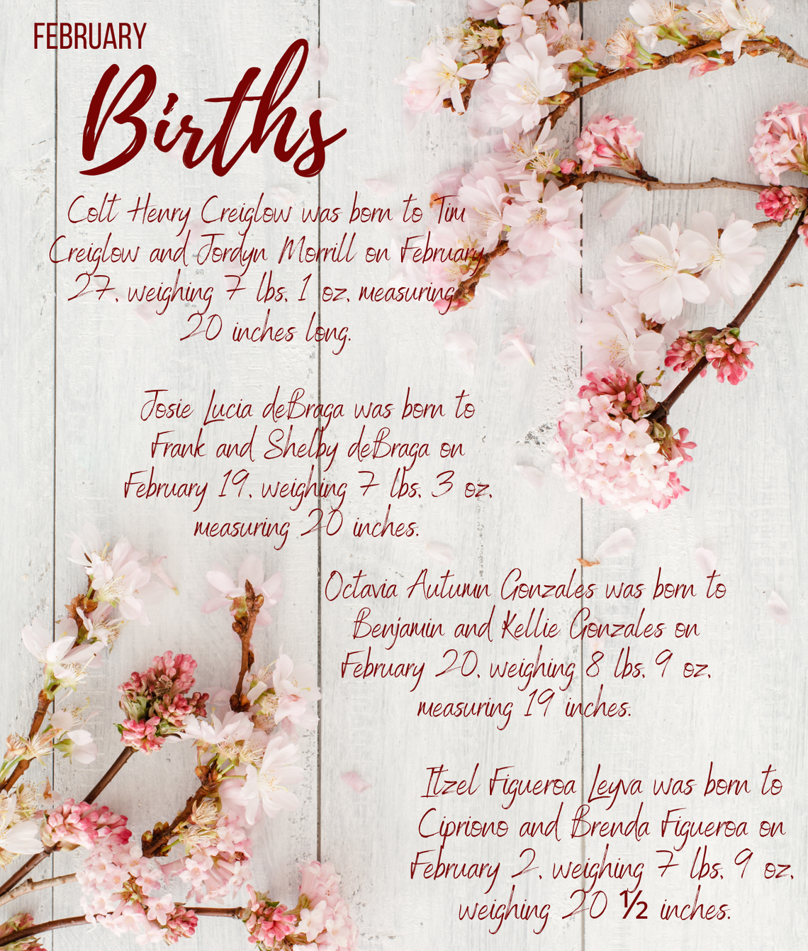 Births at Banner Churchill February 2023