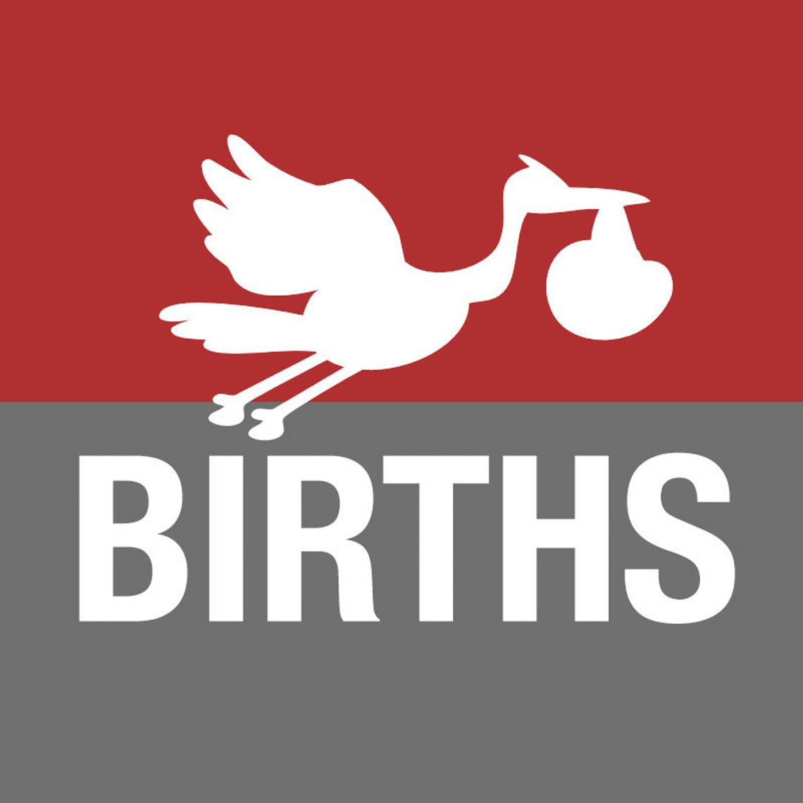 Births from December 2020