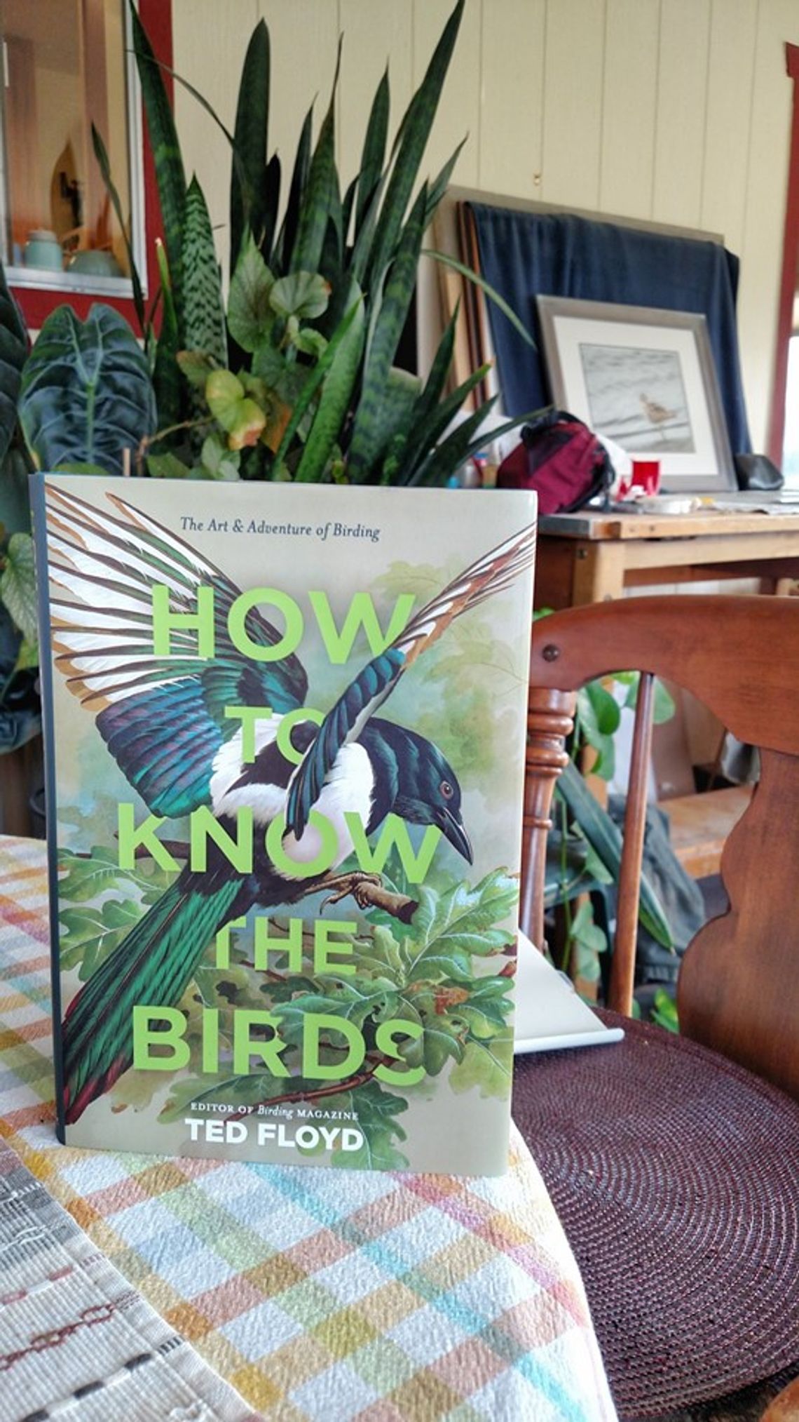 Book Review -- How to Know the Birds