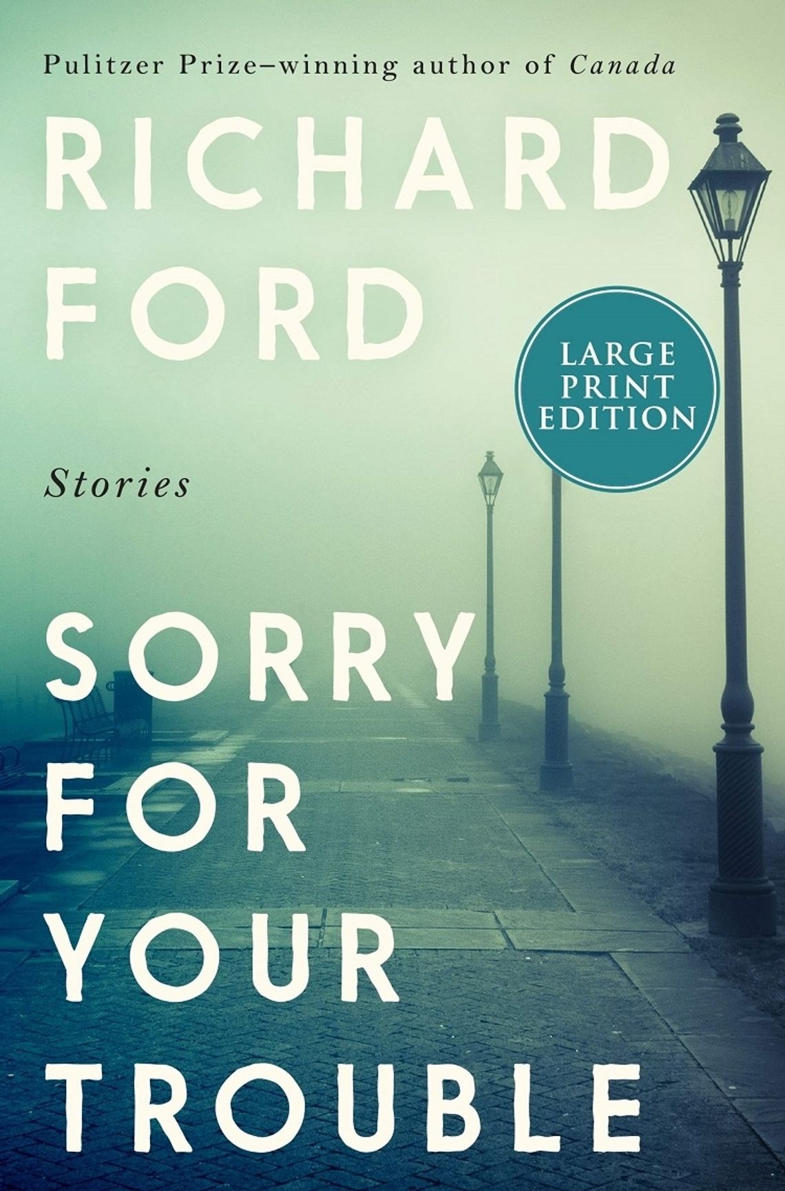 Book Review --- Sorry for Your Trouble