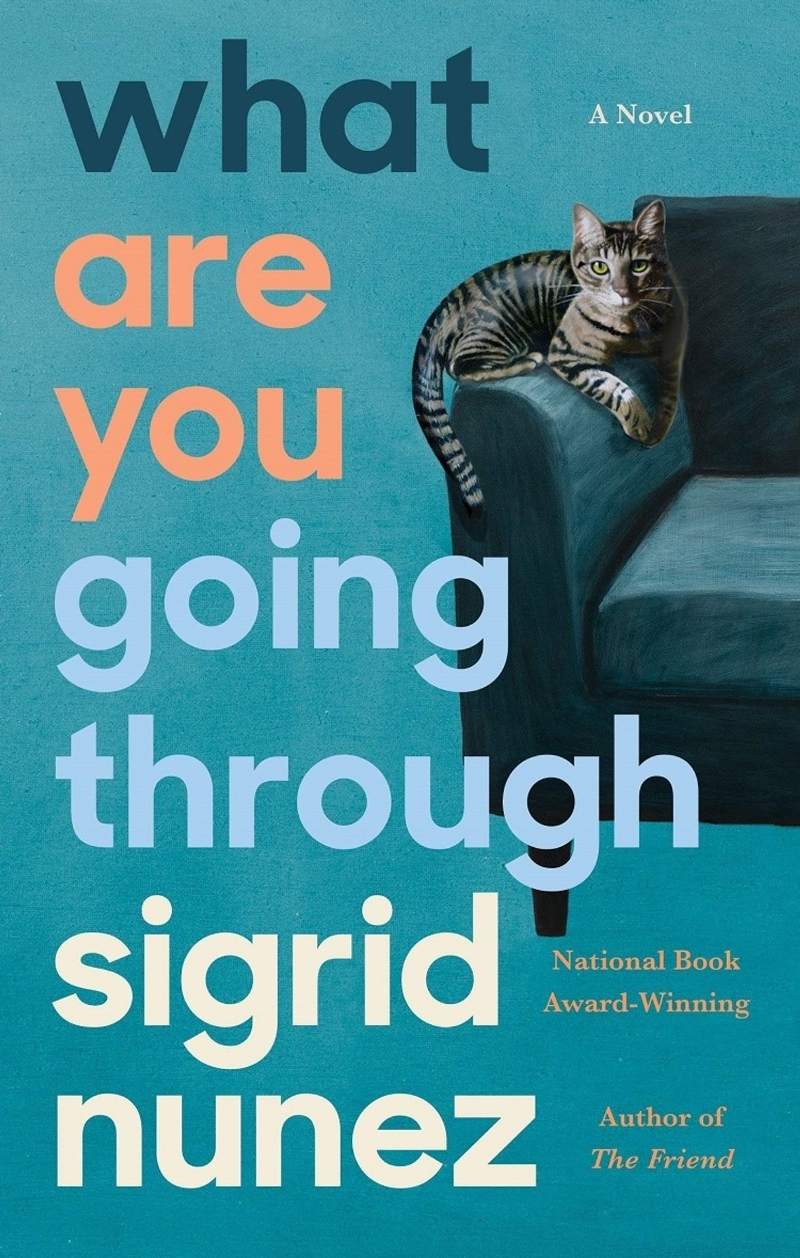 Book Review -- What Are You Going Through by Sigrid Nunez