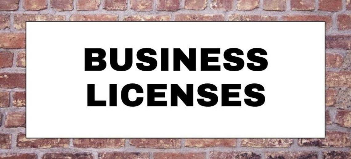 Business Licenses - March 2021