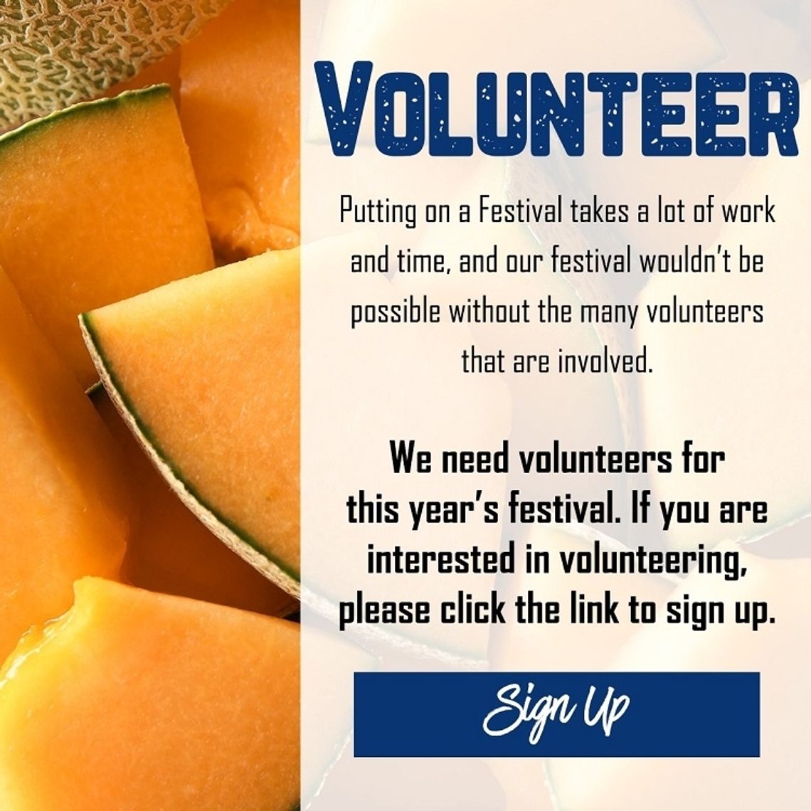 Calling Festival Volunteers