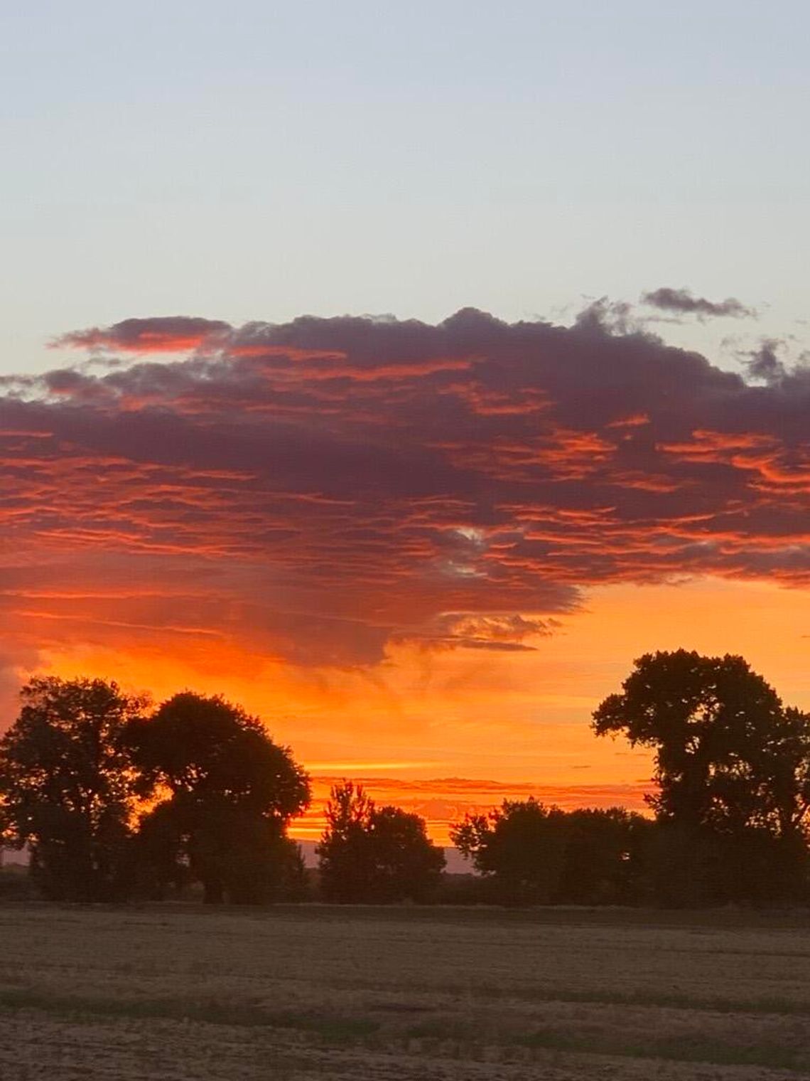 Captain’s Log: Growth Spurt