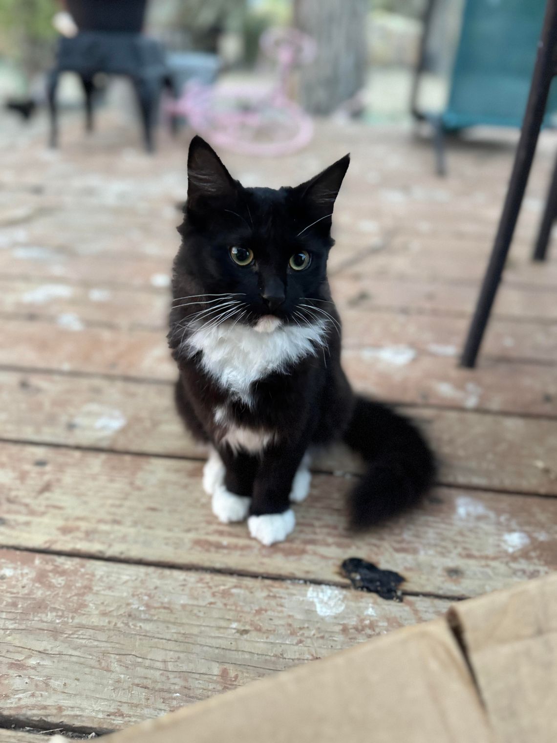 Captain’s Log - Making Friends