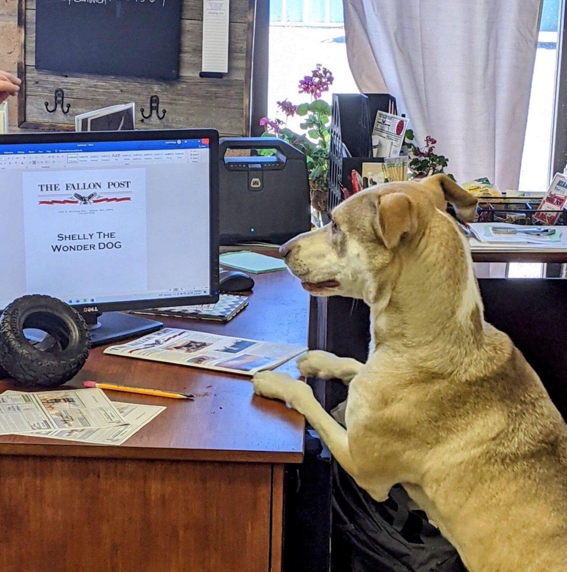 Captain’s Log – We Love Birthdays