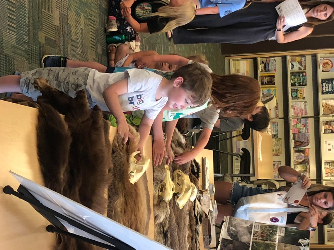 CC Library Summer Reading Program Begins June 7