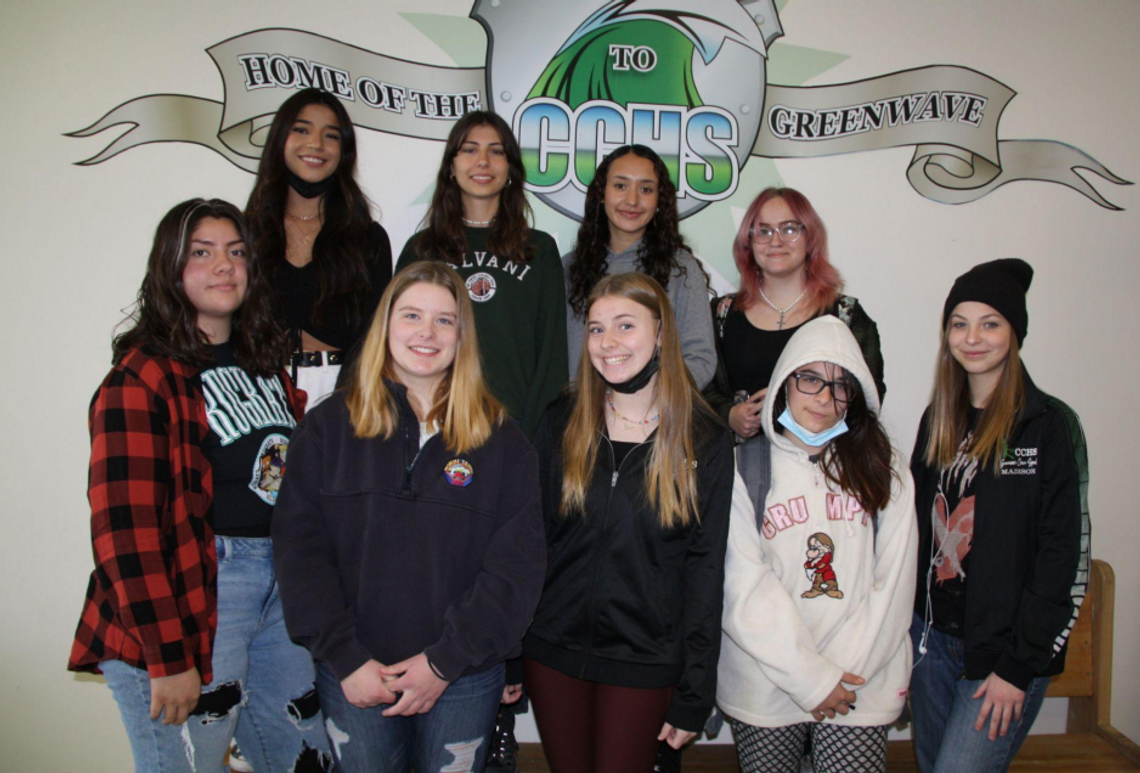 CCHS Art Students Chosen for Celebrating Art Anthology 