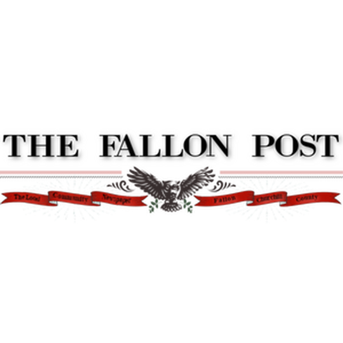 Certified Arborist Inspections Prevent Tree Disasters