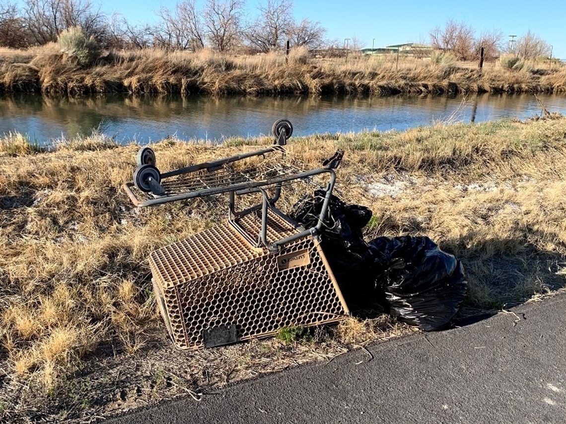 City Council Adopts Shopping Cart Ordinance