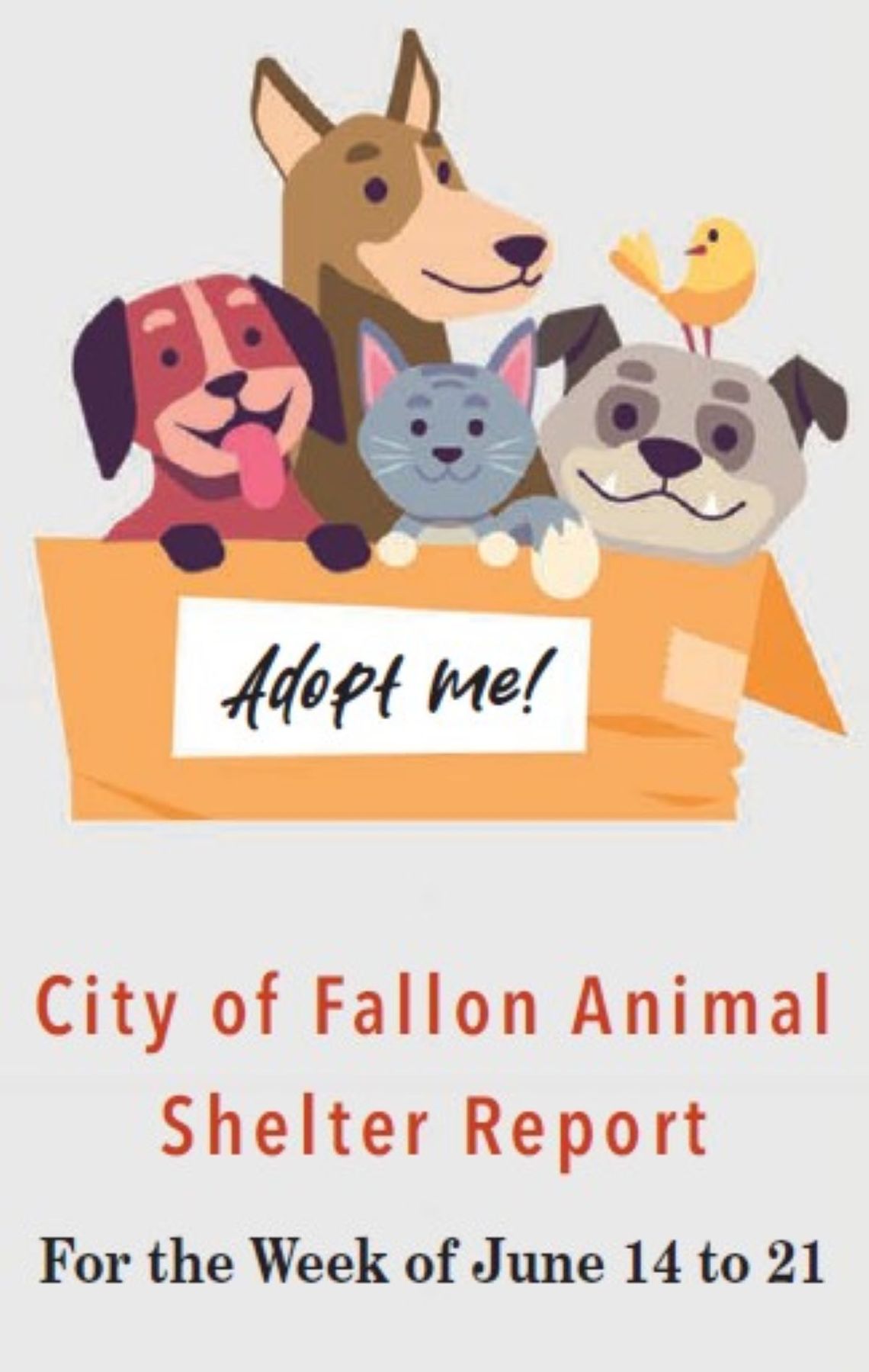 City of Fallon Animal Shelter Report - June 14 to 21