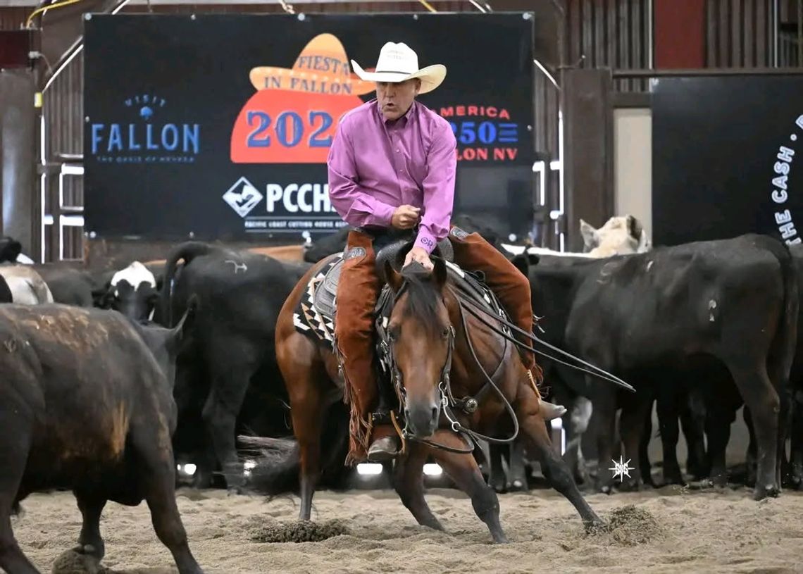 Cutting Horse Competition Draws Nearly 1,800 Entries Cutting Horse Competition Draws Nearly 1,800 Entries