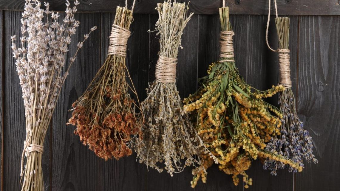 Fall Planting with The Village Nursery
