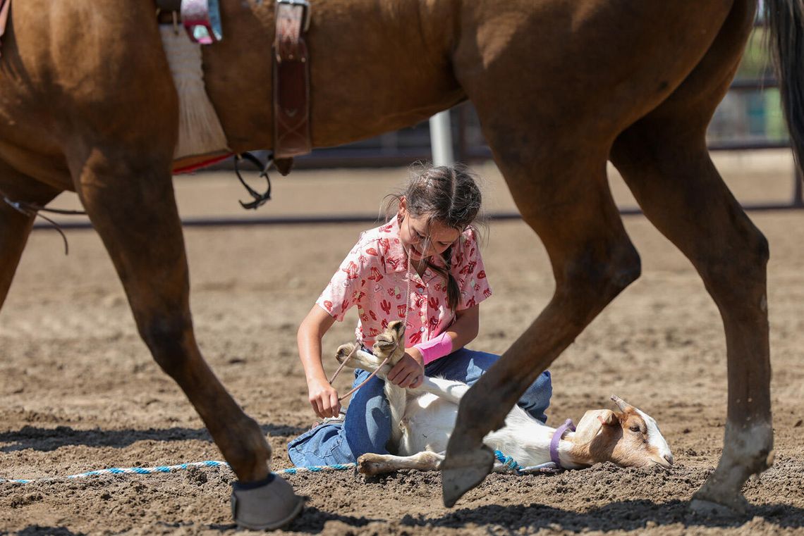 Fallon Junior Rodeo Fun Fallon Junior Rodeo Fun