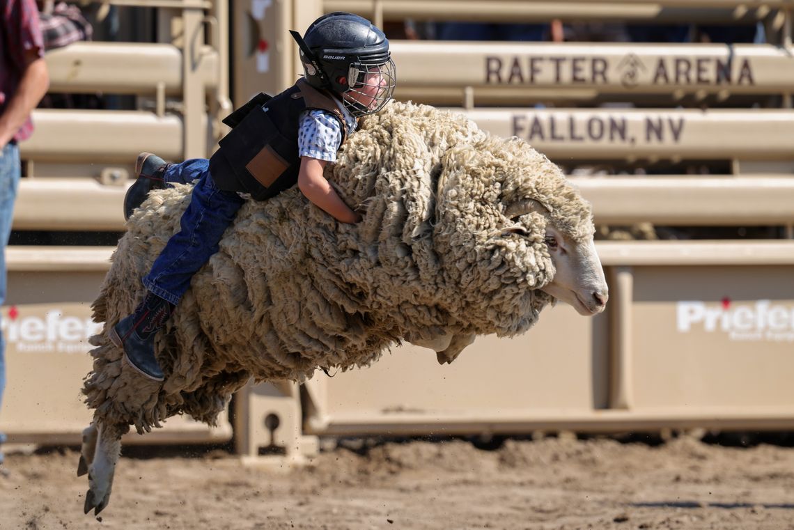 Fallon Junior Rodeo Returns Labor Day Weekend Fallon Junior Rodeo Returns Labor Day Weekend