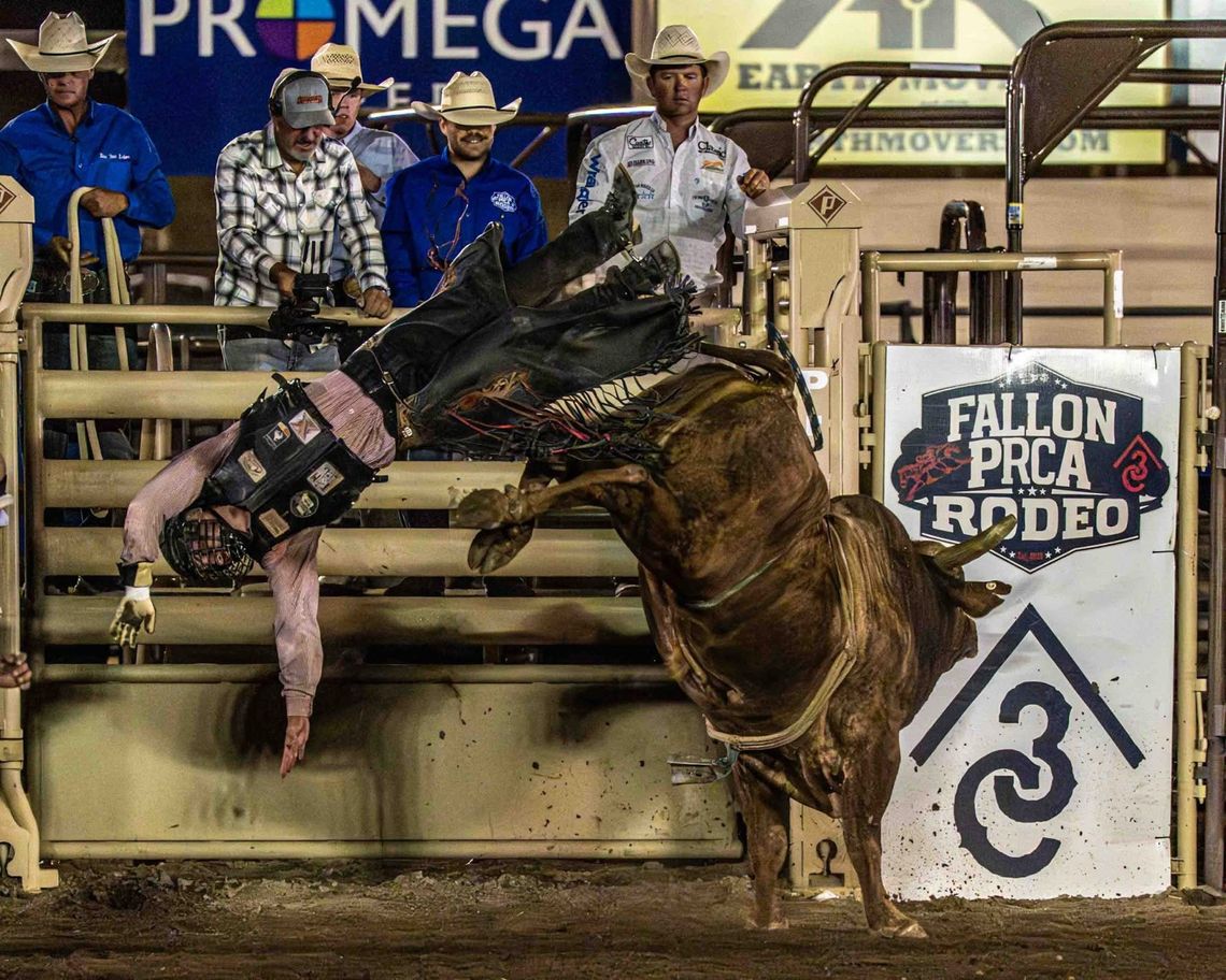 Fallon Rafter 3C PRCA Rodeo Results