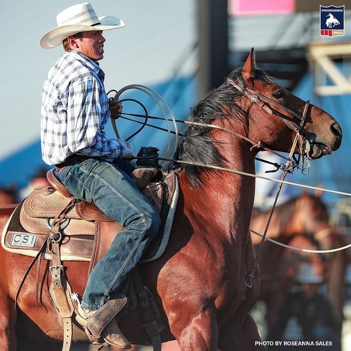 Fallon roper on his way to PRCA Rookie of the Year award