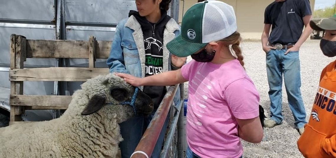 FFA Students Show their Animals to E.C. Best Students
