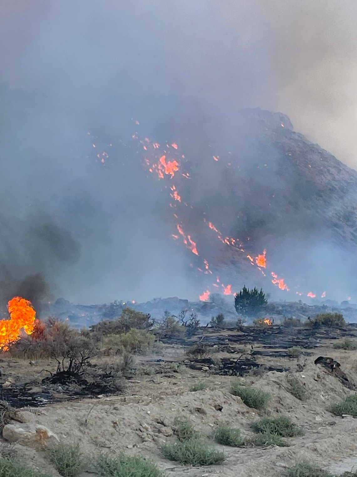 Firefighters Gain Ground on Shoshone Fire Firefighters Gain Ground on Shoshone Fire