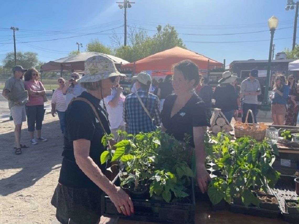 Green Goddess Market Huge Success